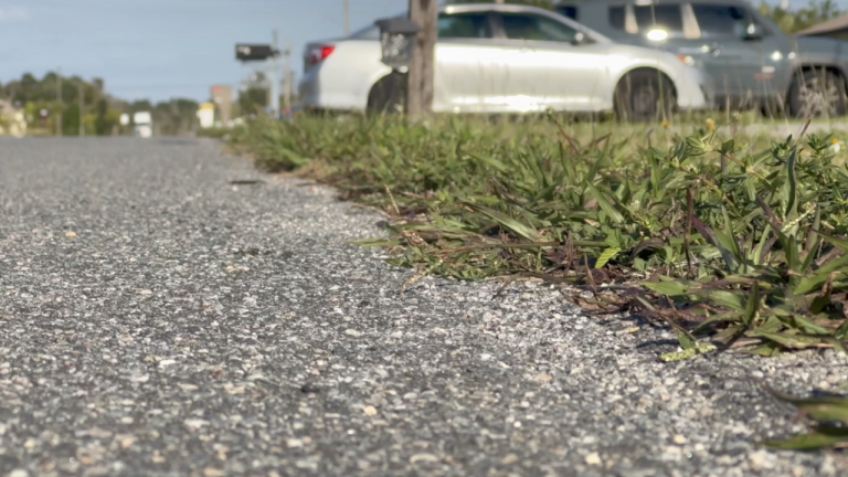 “Where the Sidewalk Ends?” Sidewalk Approved for Busy Residential Road in Lehigh Acres