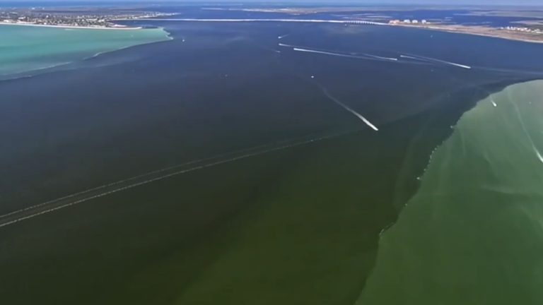 The Calusa Waterkeeper group convenes to address the future of our waterways.