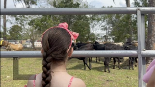 Street filled with cattle: Immokalee commemorates its rich history in ranching and agriculture.