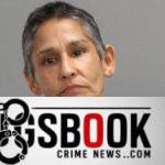 Kerlin Arana-Solorzano