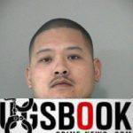 Loi Pham