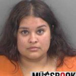 Hema Karat