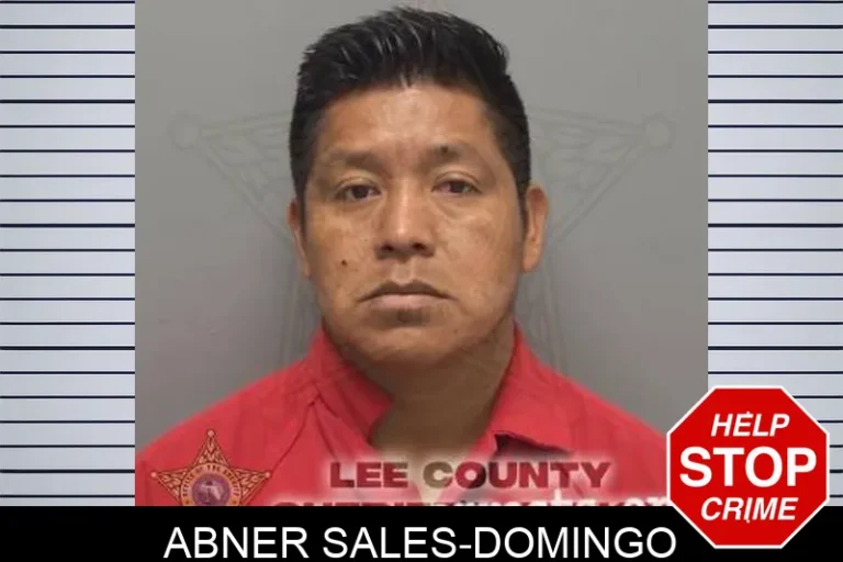 Abner Sales-Domingo