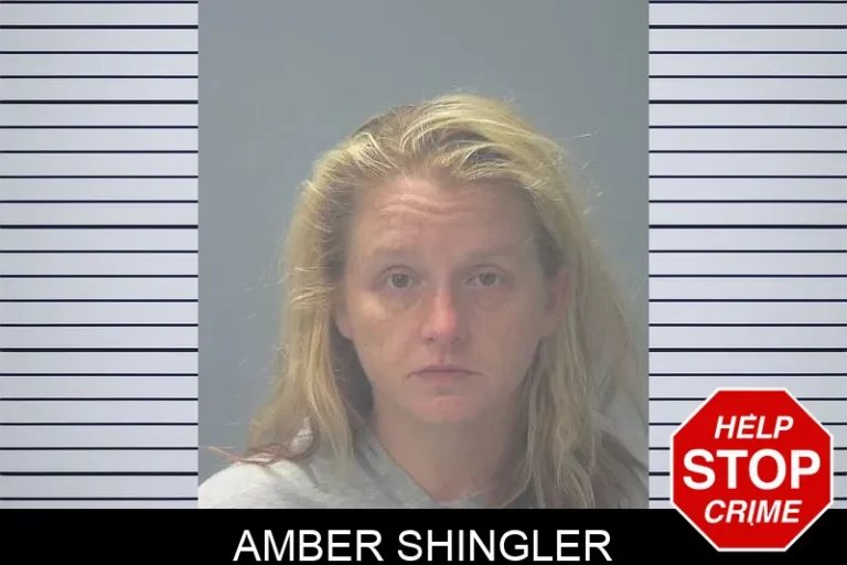 Amber Shingler