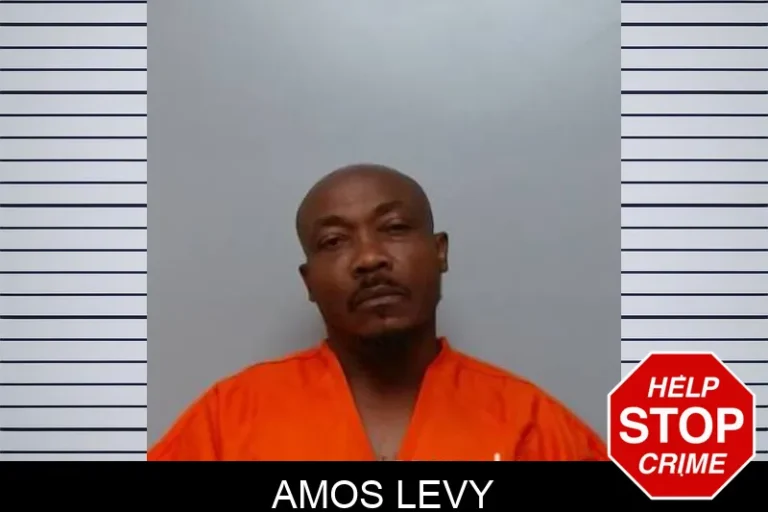 Amos Levy