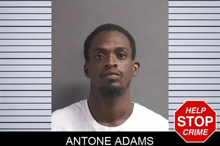 Antone Adams