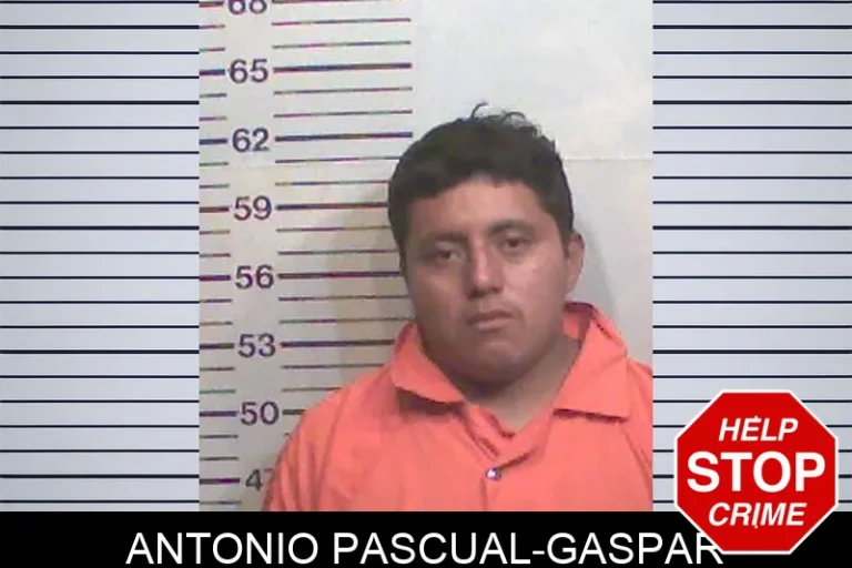 Antonio Pascual-Gaspar