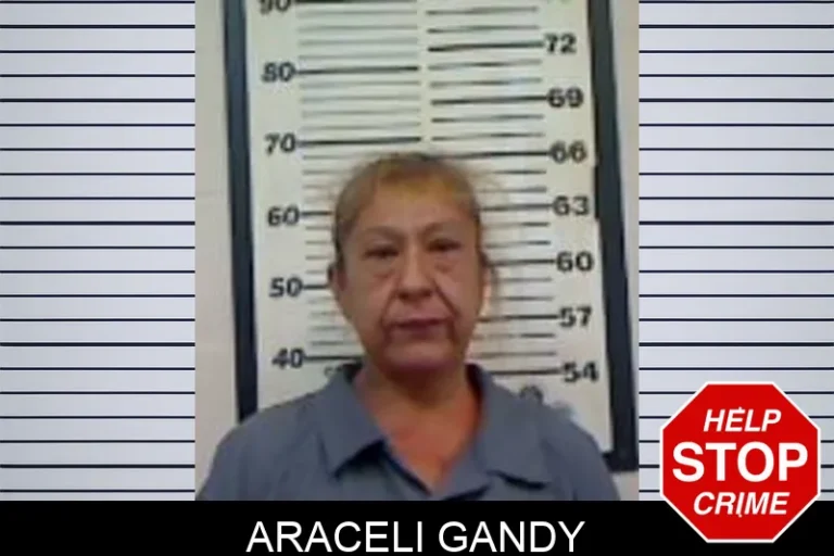 Araceli Gandy