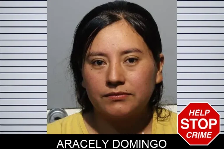 Aracely Domingo