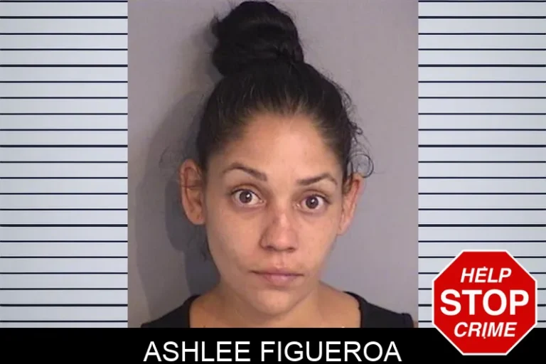 Ashlee Figueroa
