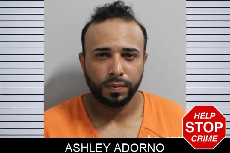 Ashley Adorno