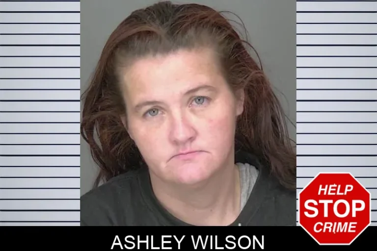 Ashley Wilson