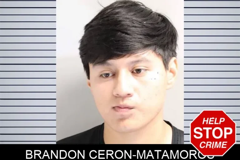 Brandon Ceron-Matamoros
