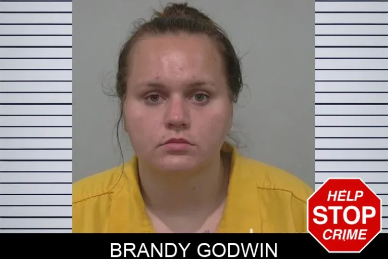 Brandy Godwin