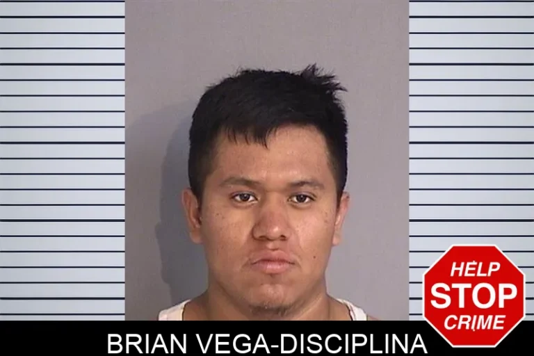 Brian Vega-Disciplina