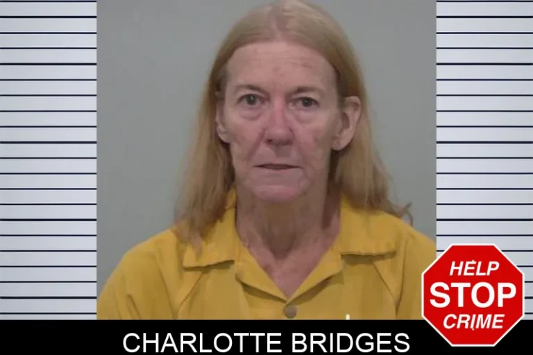 Charlotte Bridges