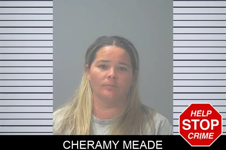 Cheramy Meade