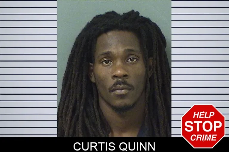 Curtis Quinn