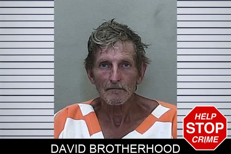 David Brotherhood