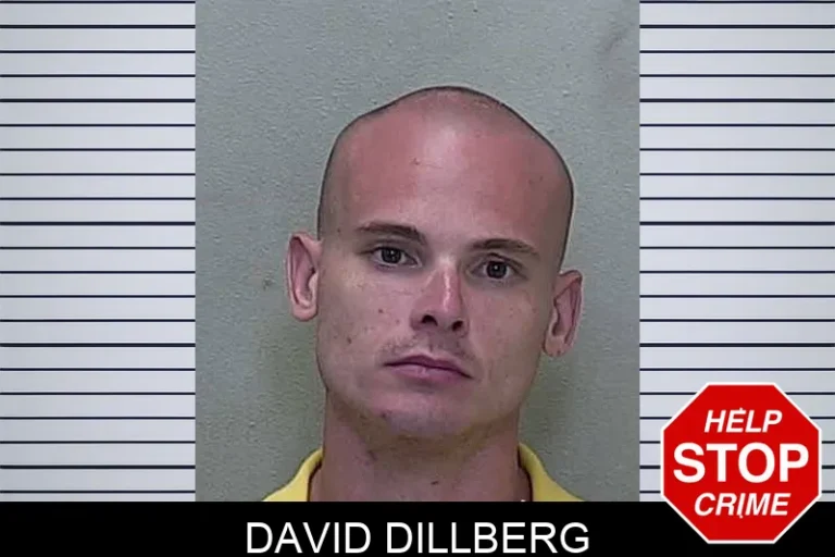 David Dillberg