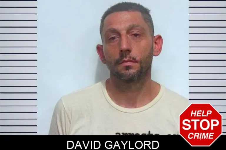 David Gaylord