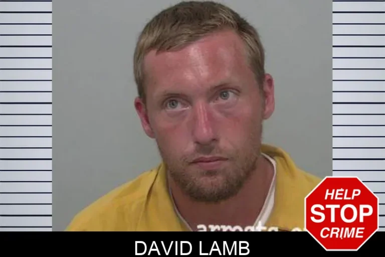 David Lamb