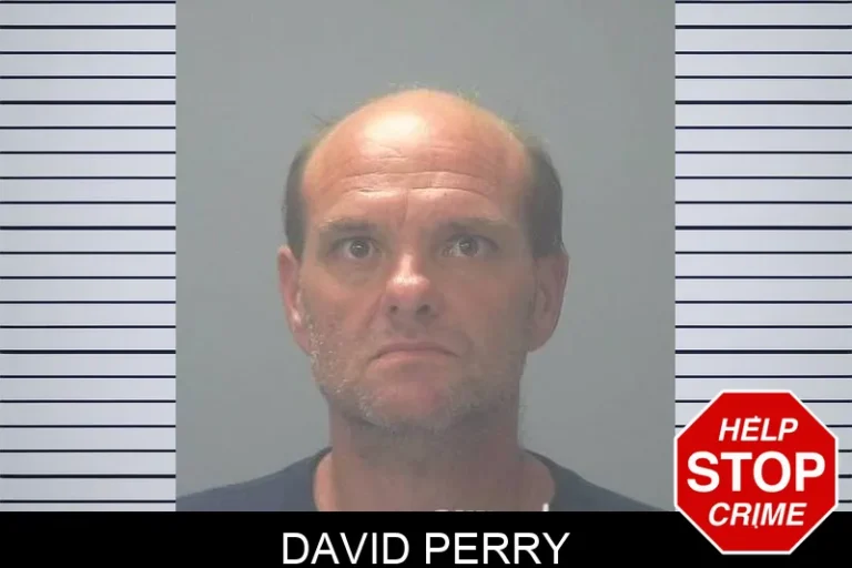 David Perry