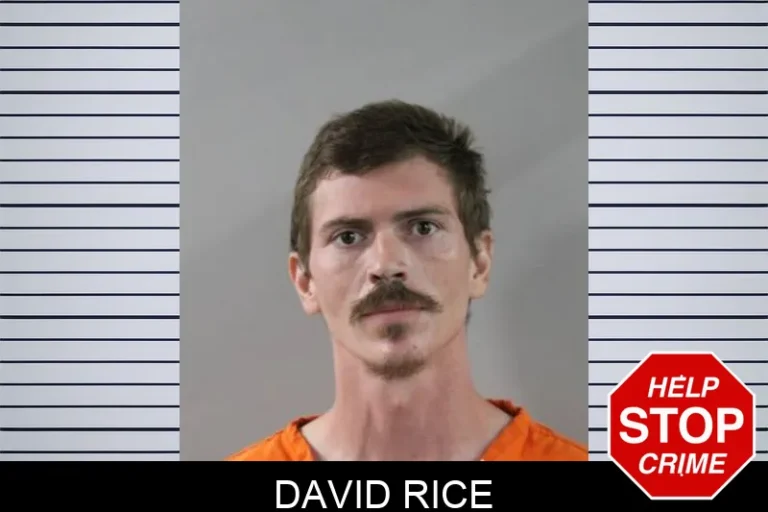David Rice