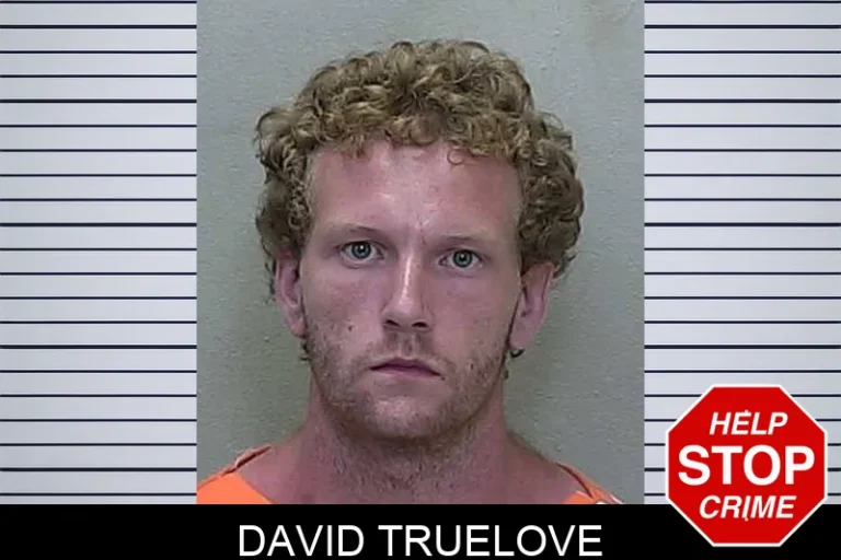David Truelove