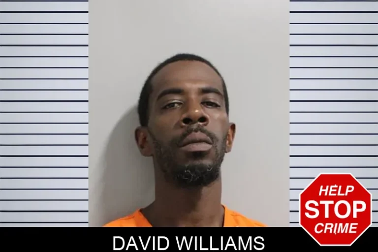 David Williams