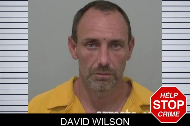 David Wilson
