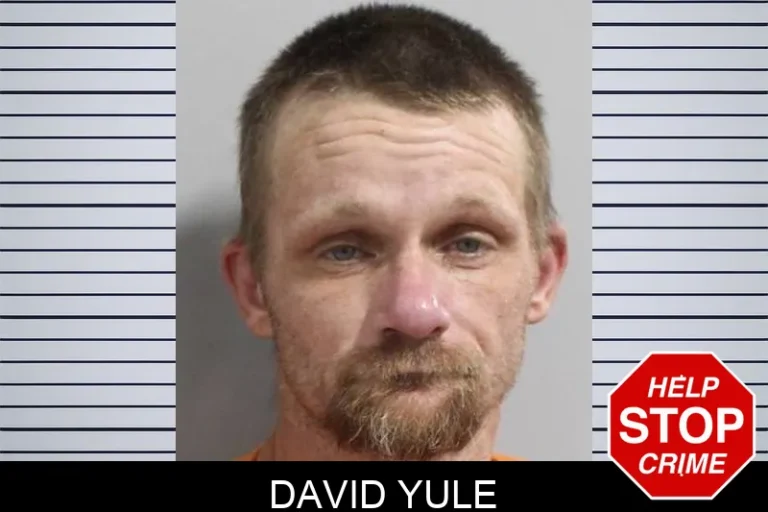 David Yule