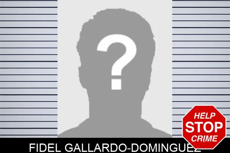 Fidel Gallardo-Dominguez