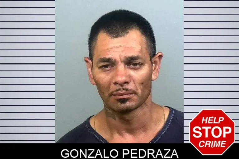 Gonzalo Pedraza