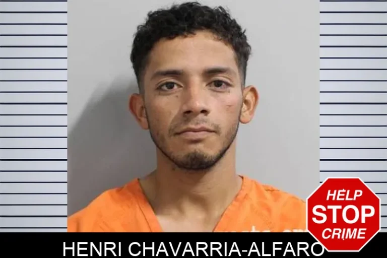 Henri Chavarria-Alfaro
