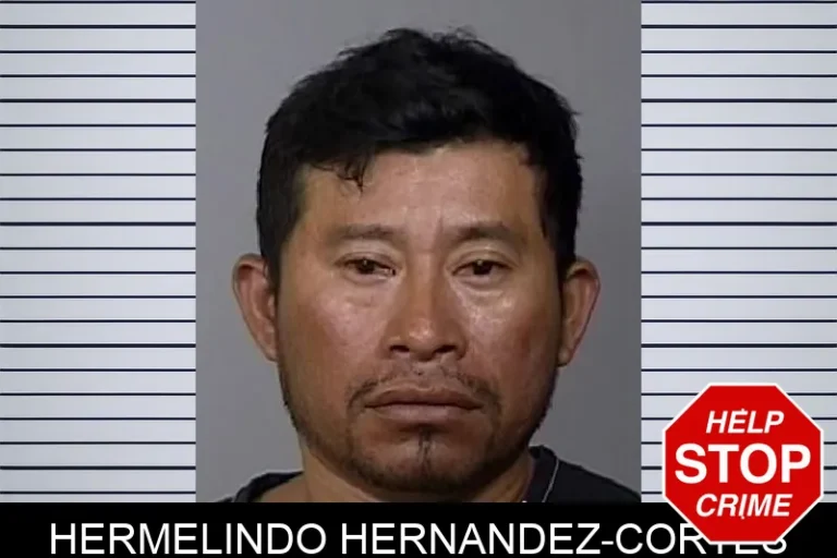 Hermelindo Hernandez-Cortes