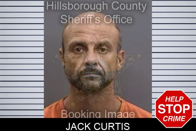 Jack Curtis