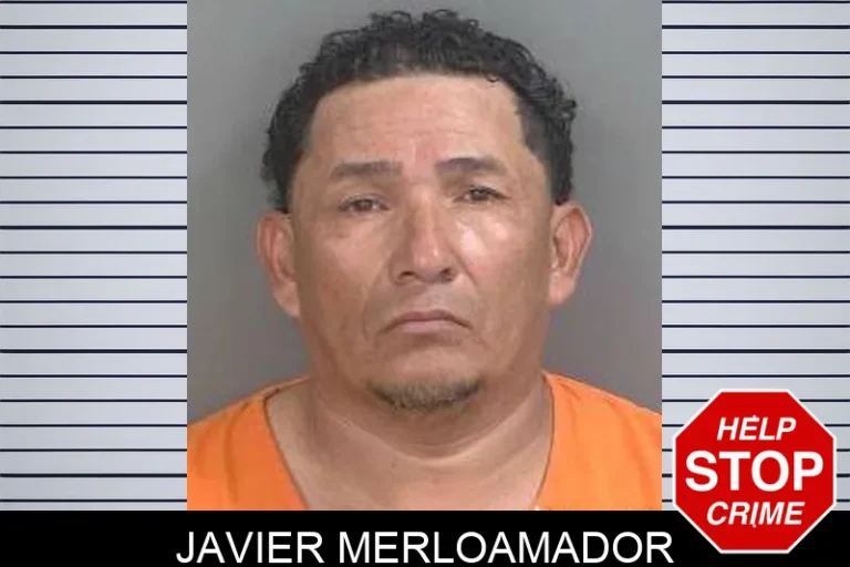 Javier Merloamador