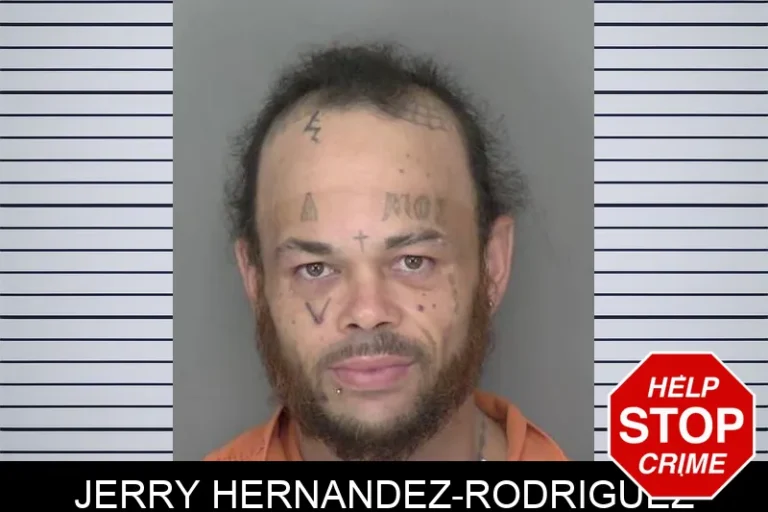 Jerry Hernandez-Rodriguez