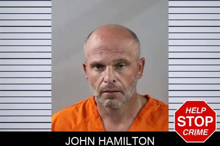 John Hamilton