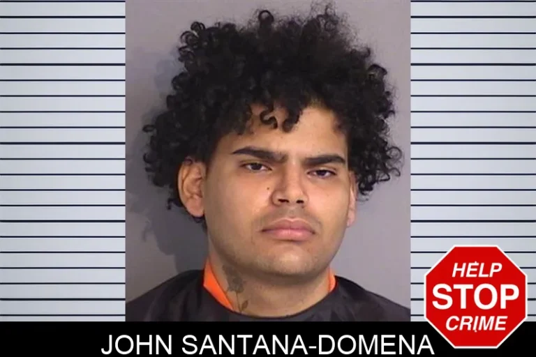 John Santana-Domena