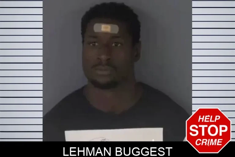 Lehman Buggest