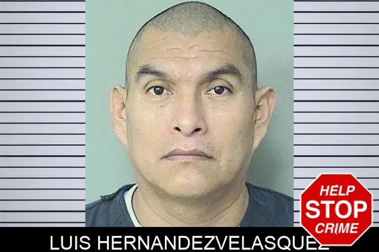 Luis Hernandezvelasquez