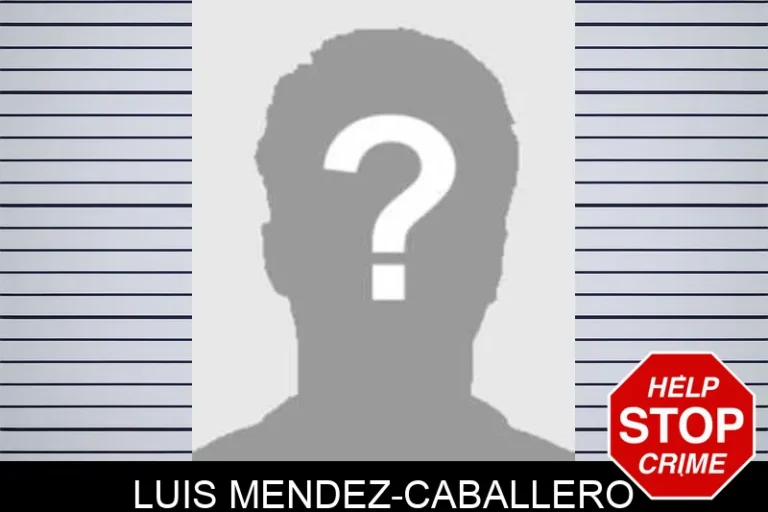 Luis Mendez-Caballero