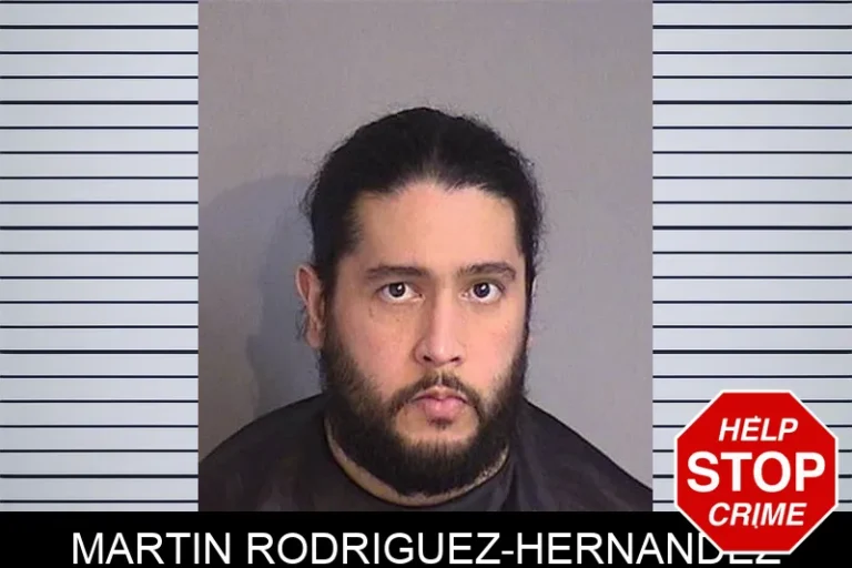 Martin Rodriguez-Hernandez