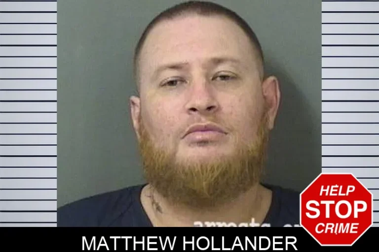 Matthew Hollander