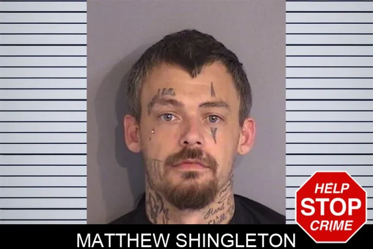 Matthew Shingleton