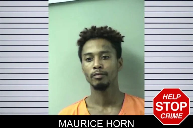 Maurice Horn