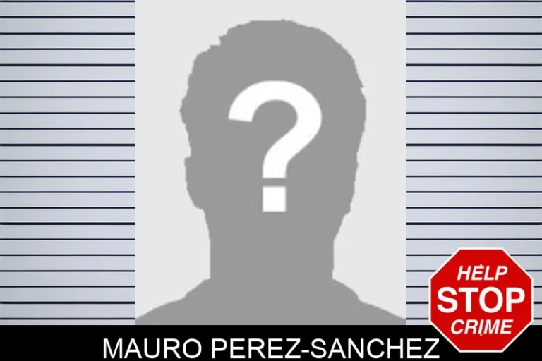 Mauro Perez-Sanchez