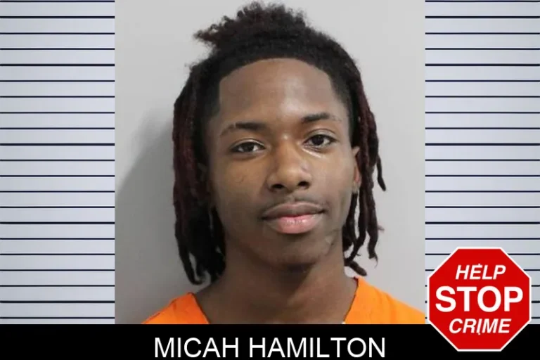 Micah Hamilton